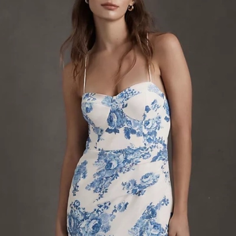 BHLDN Emanuelle Georgette dress size 4